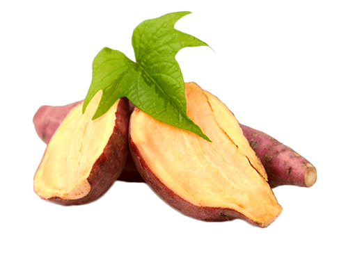 Yacon-gyökér Reduslim-ben