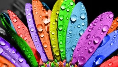 hogyan lehet fogyni a 6 szirom diéta